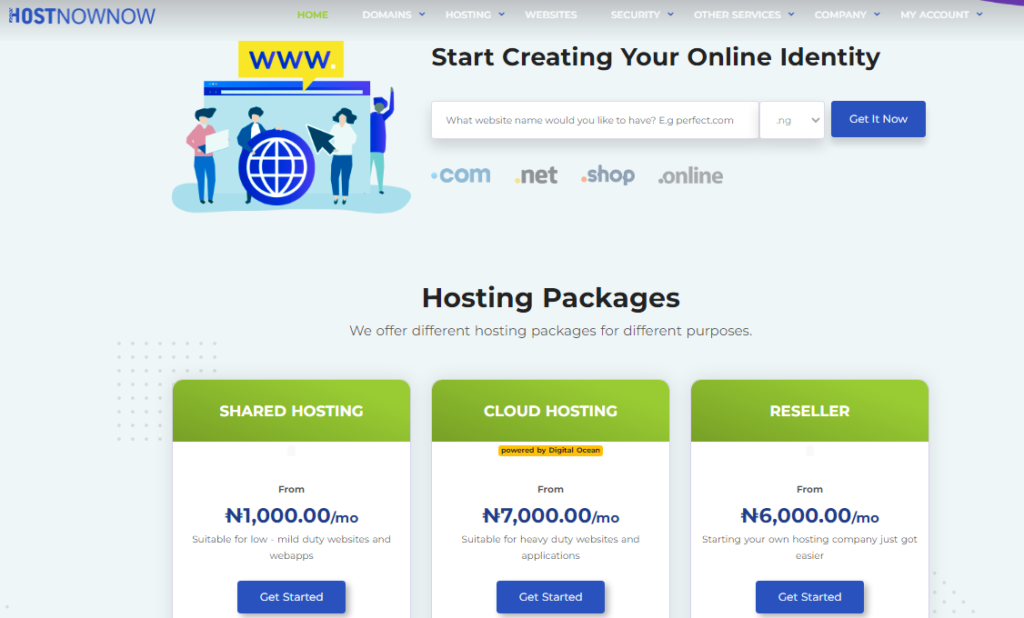 Best web hosting in Nigeria - Hostnownow