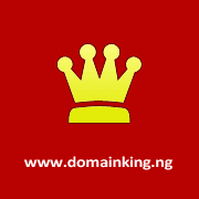 Domainking: Is This Hosting Platform Right for Your Business
