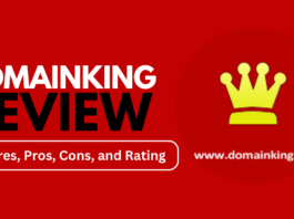 Domainking Review: Is This Hosting Platform Right for Your Business?